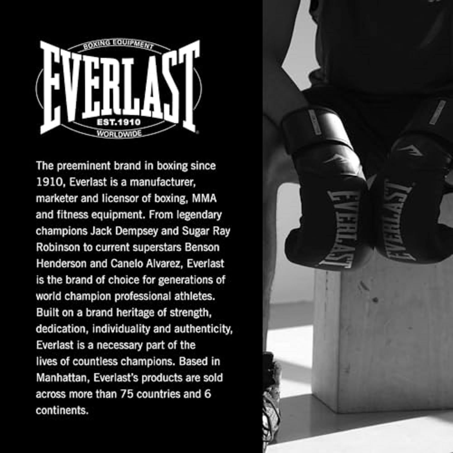 image:imageEverlast Elite 2 Boxing GlovesTan